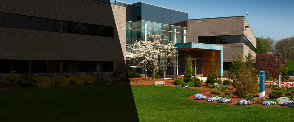 Fruitland Park Landscapers