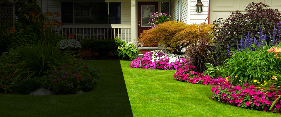 Fruitland Park Landscapers