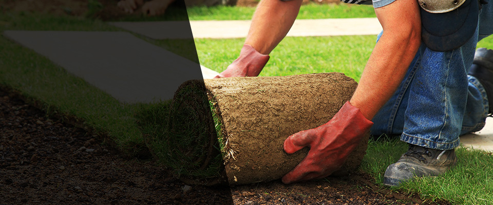 Fruitland Park Landscapers